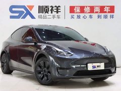 Tesla Model Y Edition - фото 3