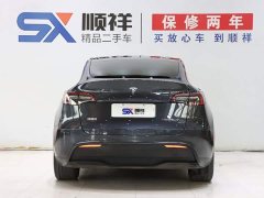 Tesla Model Y Edition - фото 5