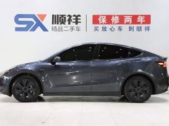 Tesla Model Y Edition - фото 6