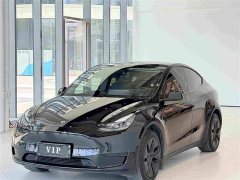 Tesla Model Y Edition - фото 1