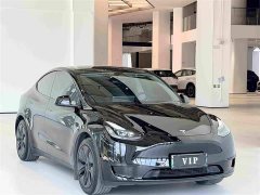 Tesla Model Y Edition - фото 3