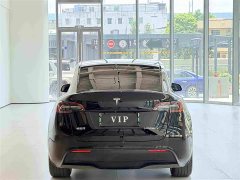 Tesla Model Y Edition - фото 8
