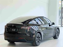 Tesla Model Y Edition - фото 9
