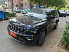 Kiwi 3.0L Edition - фото 1