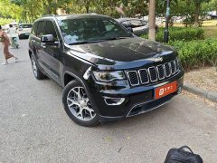 Kiwi 3.0L Edition - фото 2
