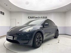 Tesla Model Y Edition - фото 1