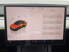Tesla Model Y Edition - фото 15