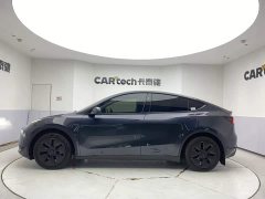 Tesla Model Y Edition - фото 8