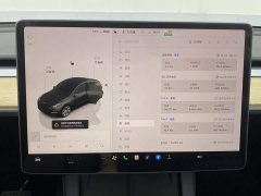Tesla Model Y Edition - фото 15