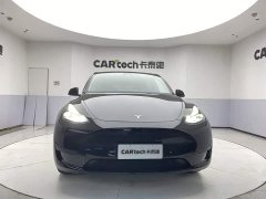 Tesla Model Y Edition - фото 3