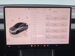 Tesla Model Y Edition - фото 15