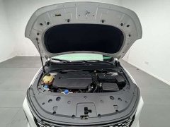 PLUS 1.5T DCT Version - фото 15