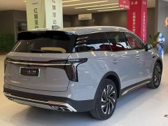 Hongqi HS7 PHEV 2.0T PHEV AWD Edition 6 - фото 5