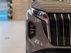 Hongqi HS7 PHEV 2.0T PHEV AWD Edition 6 - фото 9