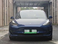 Tesla Model 3 PerformancePerformance Edition 3D6 - фото 1