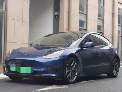 Tesla Model 3 PerformancePerformance Edition 3D6 - фото 2