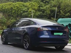 Tesla Model 3 PerformancePerformance Edition 3D6 - фото 3