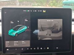 Tesla Model 3 PerformancePerformance Edition 3D6 - фото 8