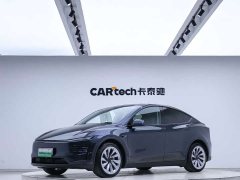 Tesla Model Y Long Range Edition - фото 1