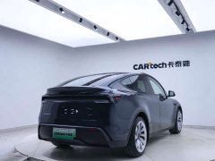 Tesla Model Y Long Range Edition - фото 19