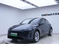 Tesla Model Y Long Range Edition - фото 8