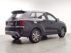 BMW Ace 2.0L Edition - фото 2