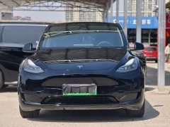 Tesla Model Y long-range all-wheel drive version - фото 1