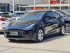 Tesla Model Y long-range all-wheel drive version - фото 2