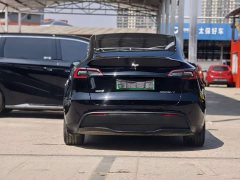 Tesla Model Y long-range all-wheel drive version - фото 8