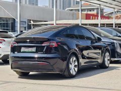 Tesla Model Y long-range all-wheel drive version - фото 9