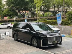 Voyah PHEV AWDFlagship Edition - фото 3
