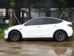 Tesla Model Y Performance Edition - фото 4
