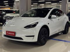 Tesla Model Y Edition - фото 1