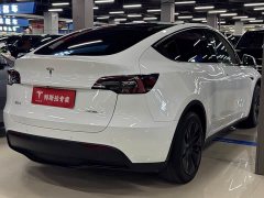 Tesla Model Y Edition - фото 10