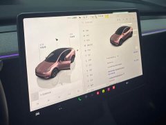 Tesla Model Y Edition - фото 15