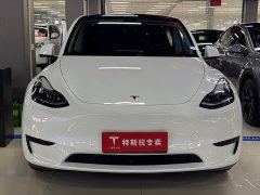 Tesla Model Y Edition - фото 2