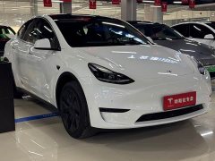 Tesla Model Y Edition - фото 3