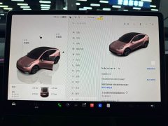Tesla Model Y Edition - фото 7