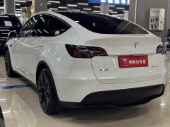 Tesla Model Y Edition - фото 8