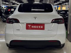 Tesla Model Y Edition - фото 9