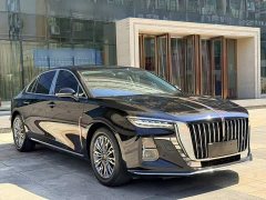Hongqi H5 2.0T Edition - фото 20