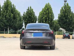 Tesla Model 3 Edition - фото 19