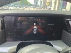 Hongqi HS7 PHEV 2.0T PHEV 2WD Edition 6 - фото 12