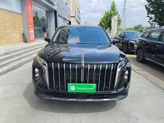 Hongqi HS7 PHEV 2.0T PHEV 2WD Edition 6 - фото 3