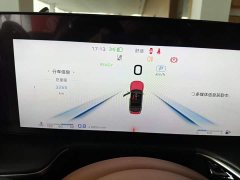 Hongqi H9 2.0T 2WD Edition 5 - фото 12