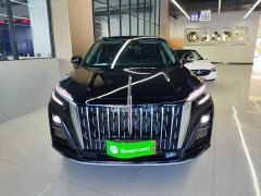 Hongqi HS3 PHEV 117km PLUS Edition - фото 3