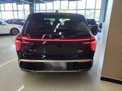 Hongqi HS3 PHEV 117km PLUS Edition - фото 6