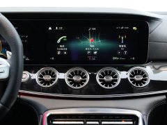 Mercedes-Benz AMG GT AMG GT 50 - фото 16