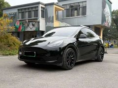 Tesla Model Y 2023 rear-wheel drive version - фото 1