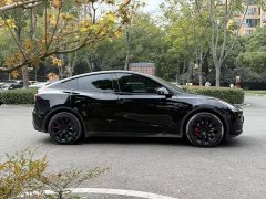Tesla Model Y 2023 rear-wheel drive version - фото 4